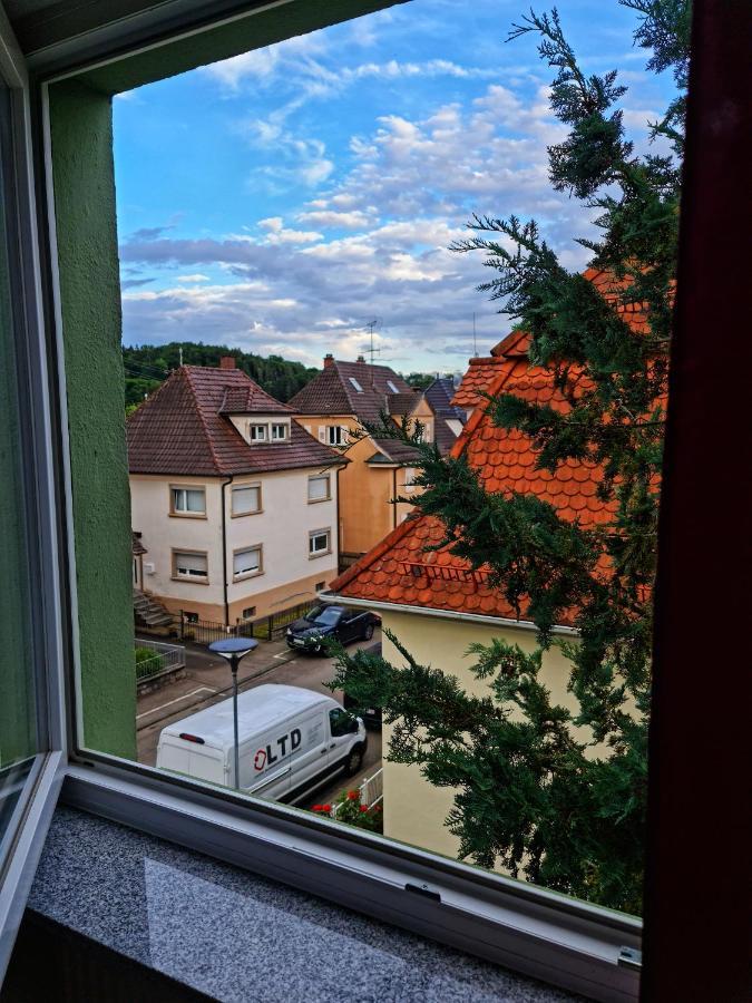 Pension Transilvania Immendingen 外观 照片