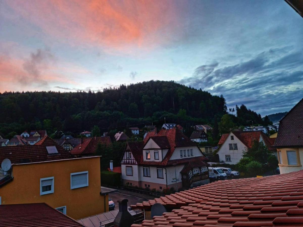 Pension Transilvania Immendingen 外观 照片