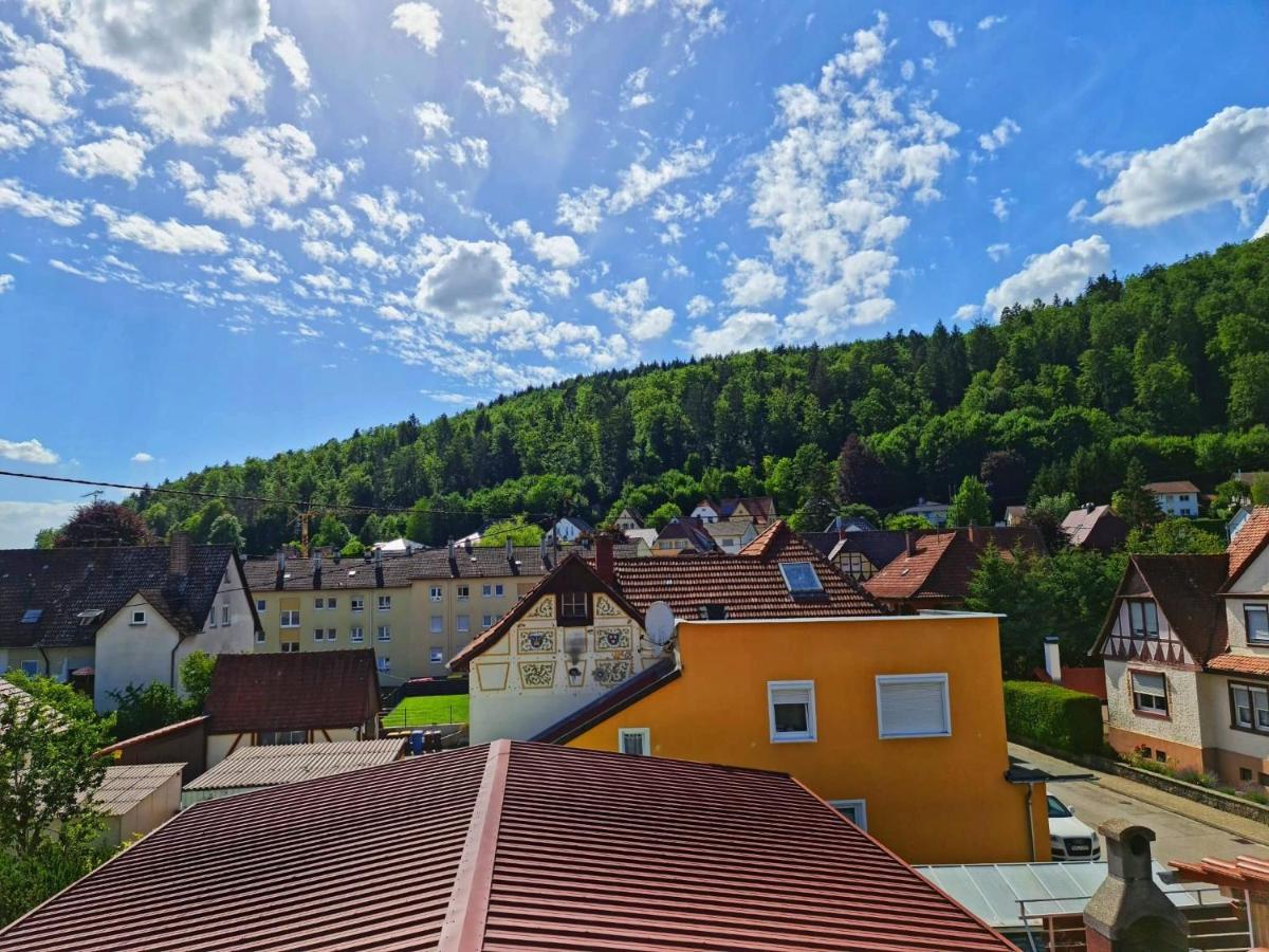 Pension Transilvania Immendingen 外观 照片